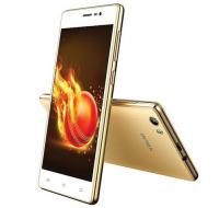 intex lions2